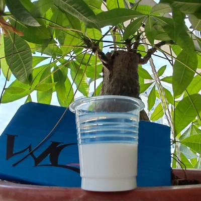 Un buen precio. Emulsión epoxi a base de agua de alta plenitud brillante para pinturas metálicas y de suelos en línea